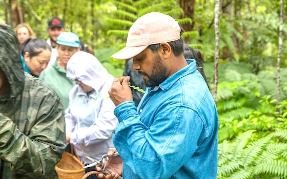 indigenous educators 