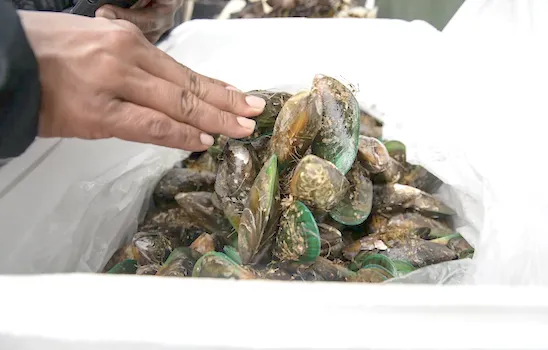 Labor struck agreements 