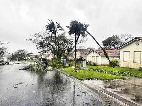 downed trees in guam after typhoon Mawar