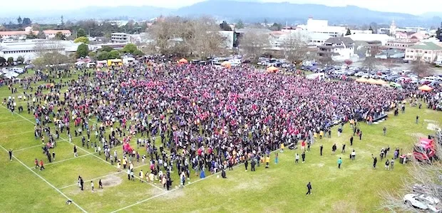 haka world record attempt 