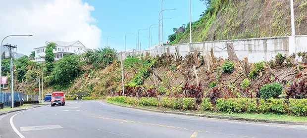 Maugaoalii hillside