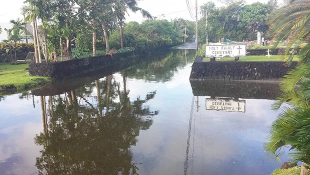 Large pool of stagnant water near Hope House and in front of the cemetery in Ottoville