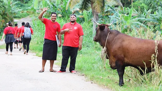 HR staffers in Tau with bull