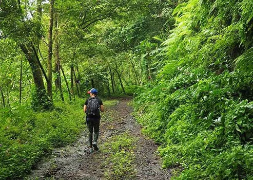 The track up Mt 'Alava. 