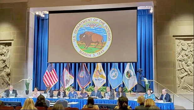 The IGIA Annual Meeting in session