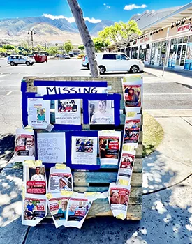 missing person posters on Maui