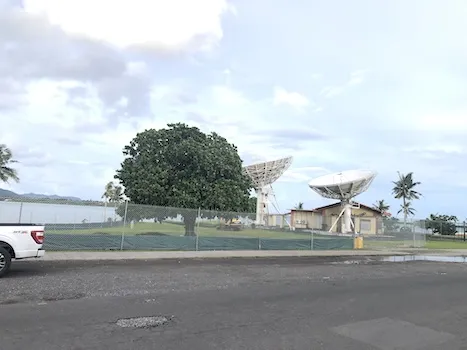 The only tree in that part of the park