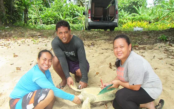 Juney Ward measuring turtle