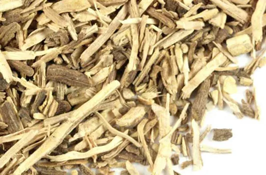 Kava root