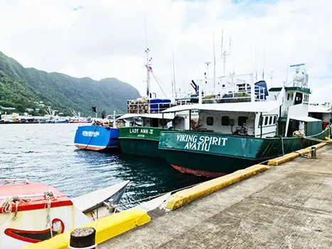 longliners at the Malaloa dock