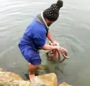 The octopus was captured in Andersons Bay Inlet on New Zealand's South Island