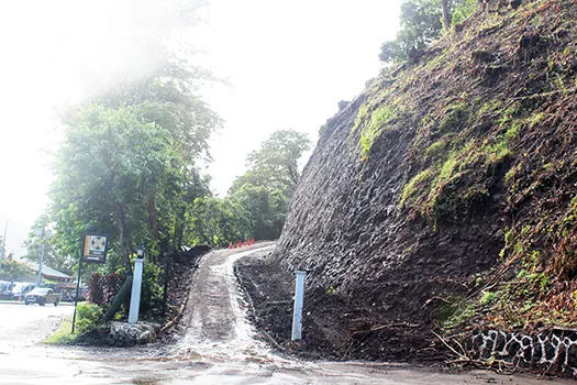 Road to Governor's Mansion with trees cut down