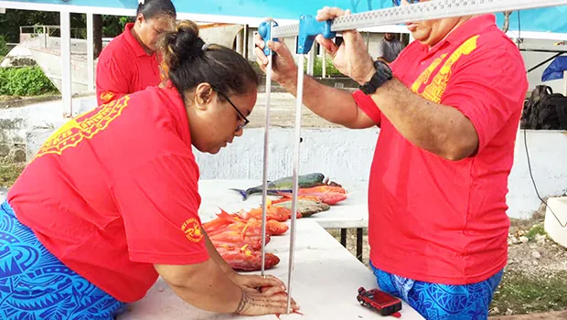 Department of Marine and Wildlife Resources staff weighing and measuring fish