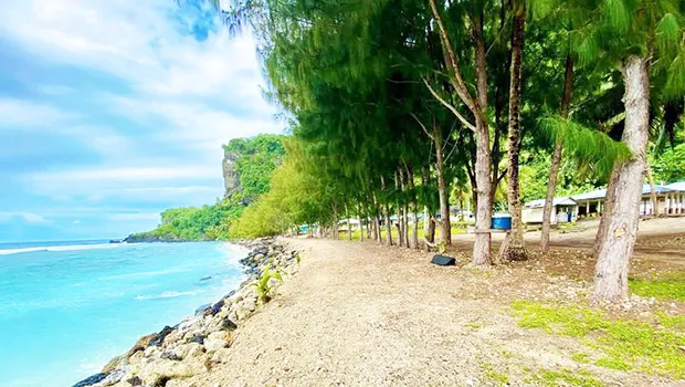 Line of toa trees near the coastline of Faleāsao Village. 