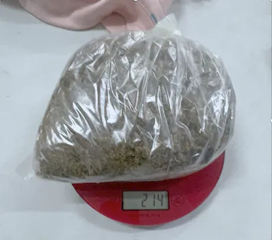 214 grams of marijuana on a scale