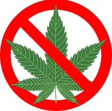 jJust say no to marijuana symbol