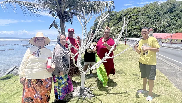 Matu’u & Faganeanea Youth putting up their Christmas display