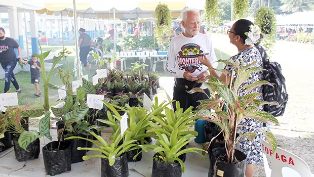Mike Burke of Leone wbeing interviewed with his plants