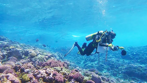 NOAA scientist off Swains Island