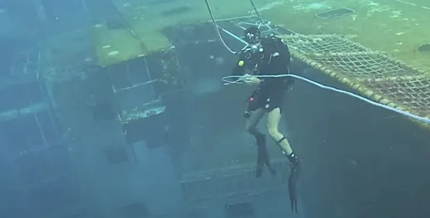 Diver on sunken ship