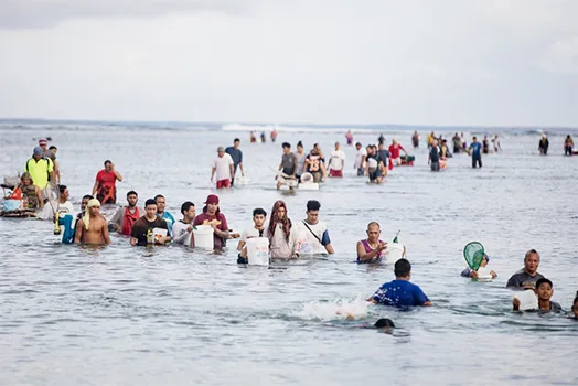 Palolo hunters in Samoa