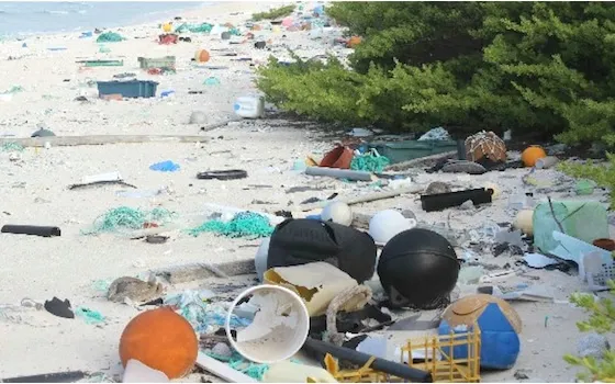 Pollution on the uninhabited Henderson Island 