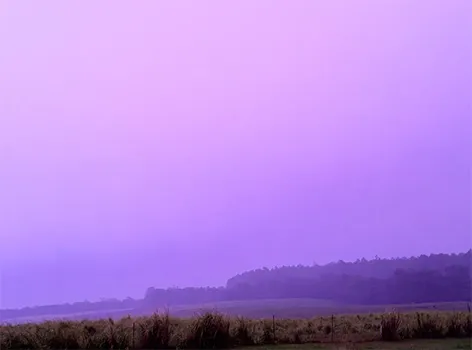 purple colored sky