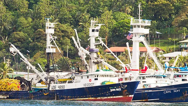 U.S. purse seiner fleet