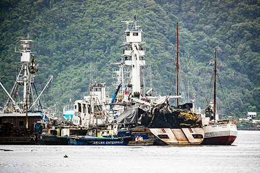 Purse Seiner vessels in Pago harbor