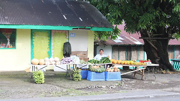 Asian-operated roadside stall at Faleniu