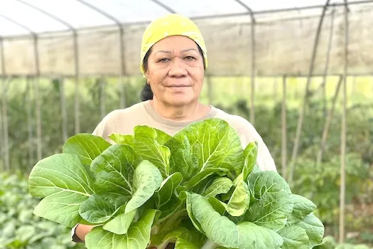 Samoa Farmers Association treasurer Leaupepe Lasa Aiono