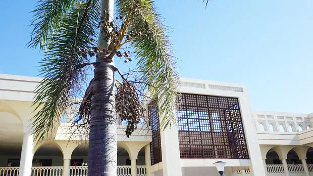 Samoa Supreme Court