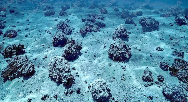 sea nodules