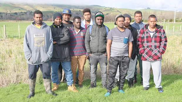 Seasonal workers in New Zealand