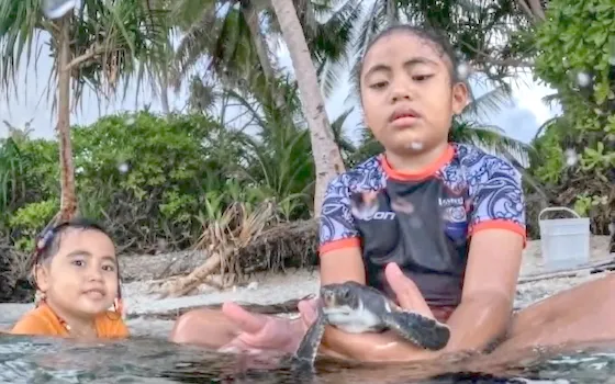 Sonic, A young turtle