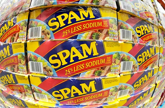 SPAM graphic