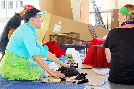 Local pet owners chat while awaiting the recovery of their pets