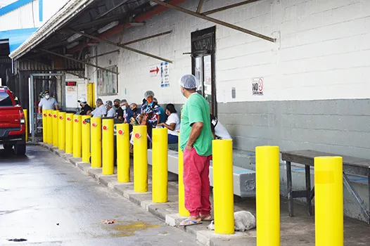 StarKist safety barrier posts