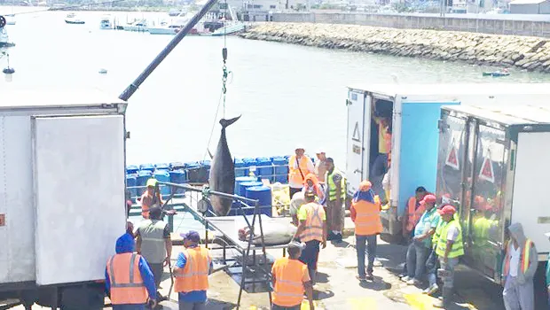 The port in Manta, Ecuador.