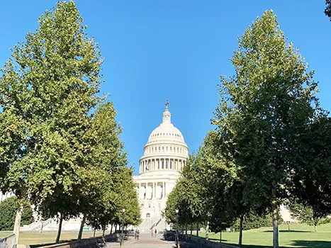 u.s. capitol building