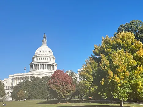 u.s. capitol building in the autumn