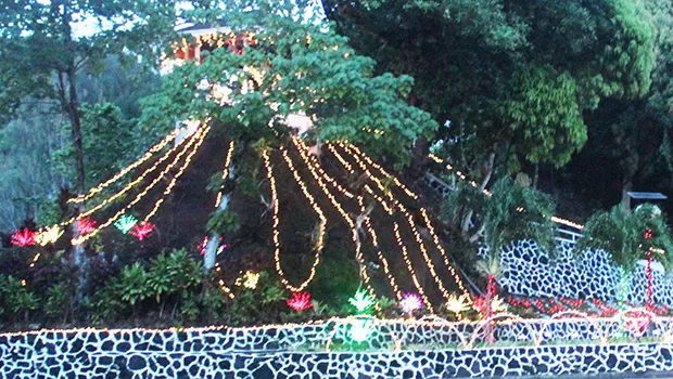 Christmas lights on Mauga-O-Ali’i 