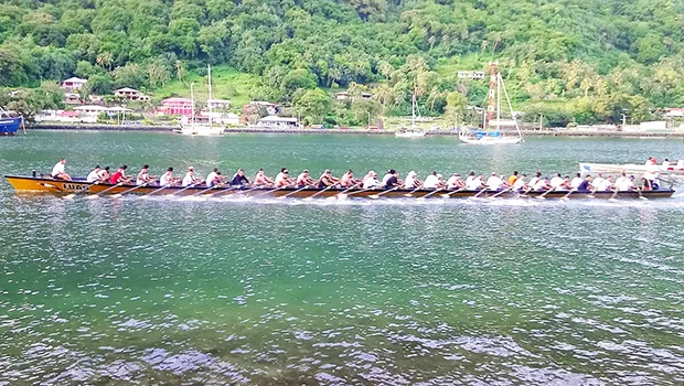 the Fuao or "Manu Fe'ai" from Vatia
