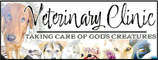 VET BANNER