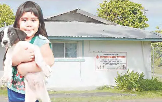 girl dog at clinic