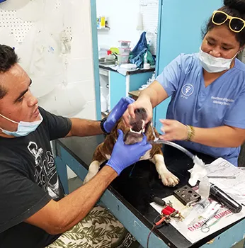 Local volunteer Sai holds a patient's mouth open
