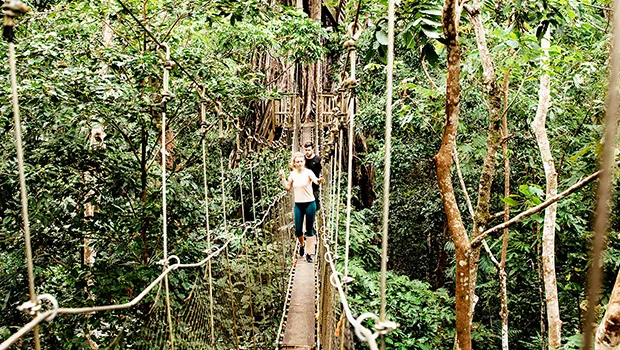Canopy Walkway in the Falealupo Rainforest Preserve,
