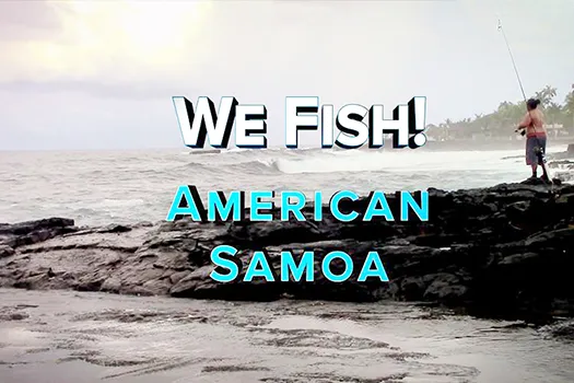 Man fishing off the shore