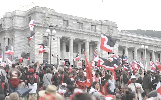  The hīkoi protesting against the Treaty Principles Bill in Wellington 