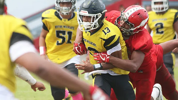 David Talaga of the Wildcats 